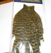 American hen cape grizzly  /  olive  Whiting 